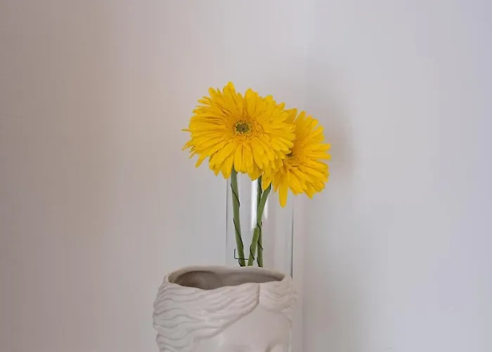 Bright & Spacious By Ribeira Grande