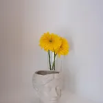 Bright & Spacious By Ribeira Grande