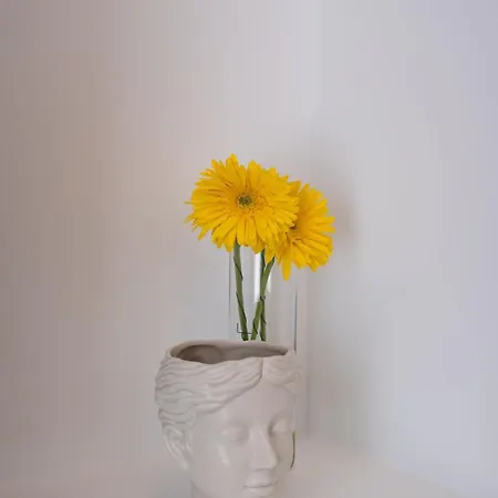 Bright & Spacious By リベイラ・グランデ